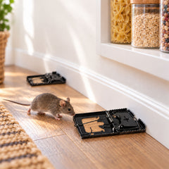 Mouse Trap Catcher Rodent Traps Mice Control Mice Snap Kill Trap (2 Pc)