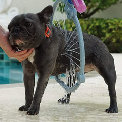 A black French Bulldog stands under the shower ring, getting wet, with a person's hand gently holding its head near a pool.