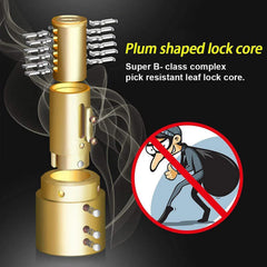 An exploded diagram of a gold-colored plum-shaped lock core with multiple pins, next to a crossed-out thief icon.