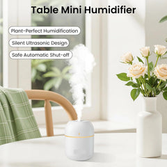 Portable Mini USB Humidifier with Night Light – 300ML Cool Mist Diffuser for Home, Office & Travel