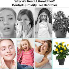 Portable Mini USB Humidifier with Night Light – 300ML Cool Mist Diffuser for Home, Office & Travel