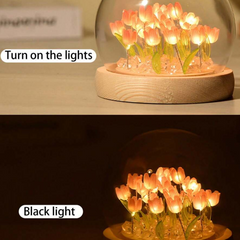 DIY Flower Dome LED Night Lamp Decorative Table Light Kit