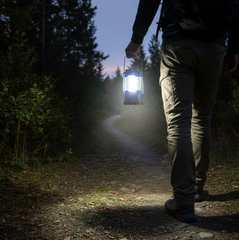 A person walks away from the camera on a dark, winding path, holding a bright blue lantern that lights the way.