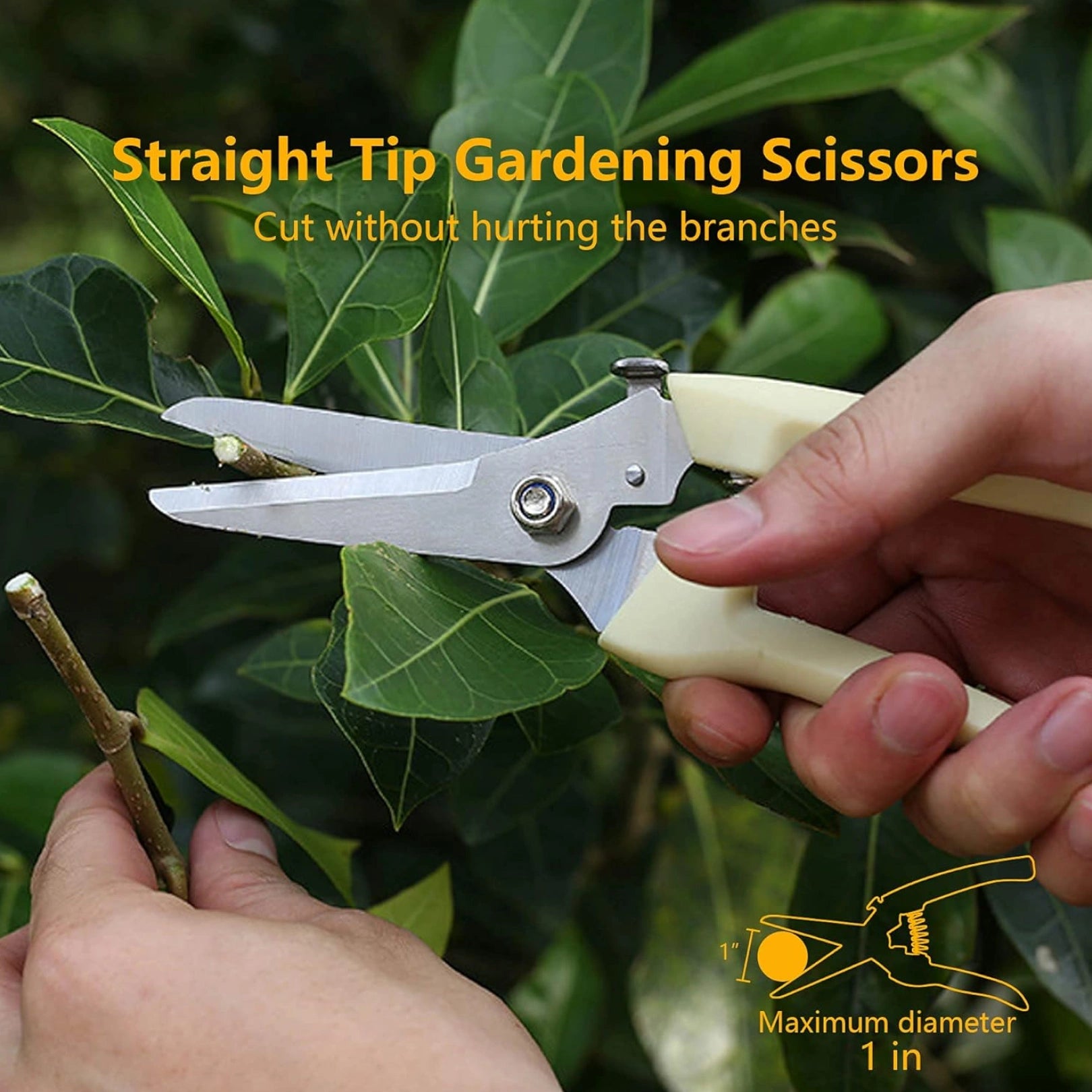 0471 Stainless Steel Pruning Shears With Sharp Blades And Comfortable Handle - Durable Hand Pruner For Comfortable And Easy Cutting Heavy Duty Gardening Cutter Tool Plant Cutter For Home Garden  Wood Bran (1 Pc)