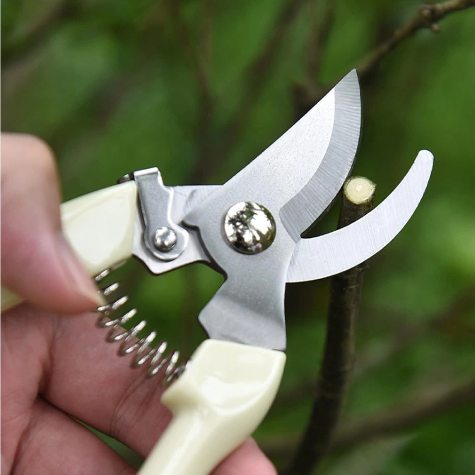 0471 Stainless Steel Pruning Shears With Sharp Blades And Comfortable Handle - Durable Hand Pruner For Comfortable And Easy Cutting Heavy Duty Gardening Cutter Tool Plant Cutter For Home Garden  Wood Bran (1 Pc)
