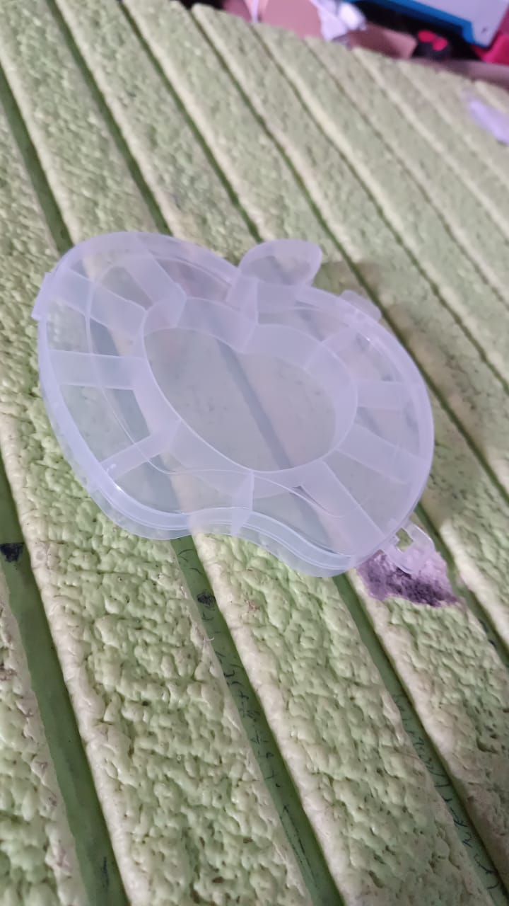 Apple Shape Jewellery Box – Transparent Plastic Organizer | LilyGleam