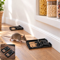 Mouse Trap Catcher Rodent Traps Mice Control Mice Snap Kill Trap (2 Pc)